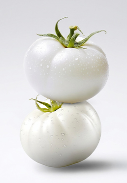 白番茄